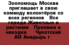 Зоопомощь.Москва приглашает в свою команду волонтёров со всех регионов - Все города Животные и растения » Пропажи и находки   . Чукотский АО,Анадырь г.